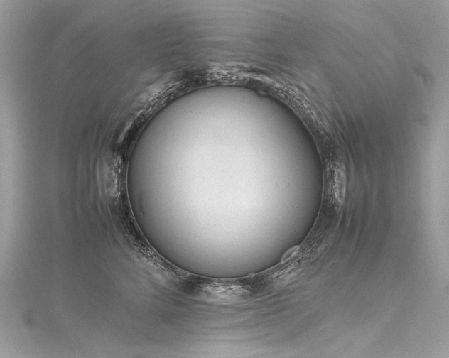 X0000116310712200911301503