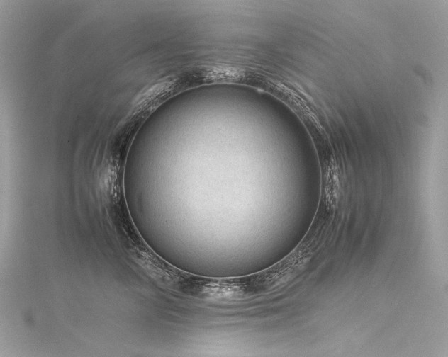 X0000116310714200911301503