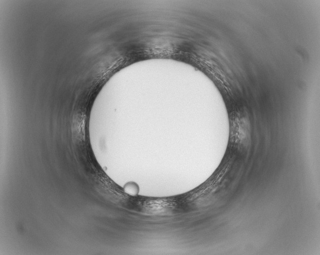 X0000116310717200911301503