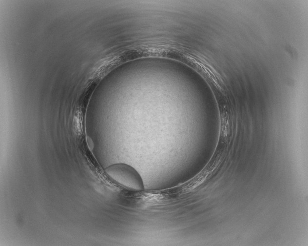 X0000116310718200911301503