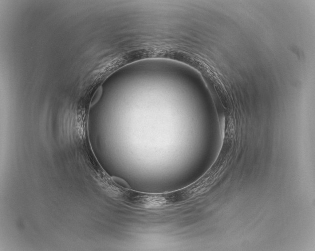 X0000116310719200911301503