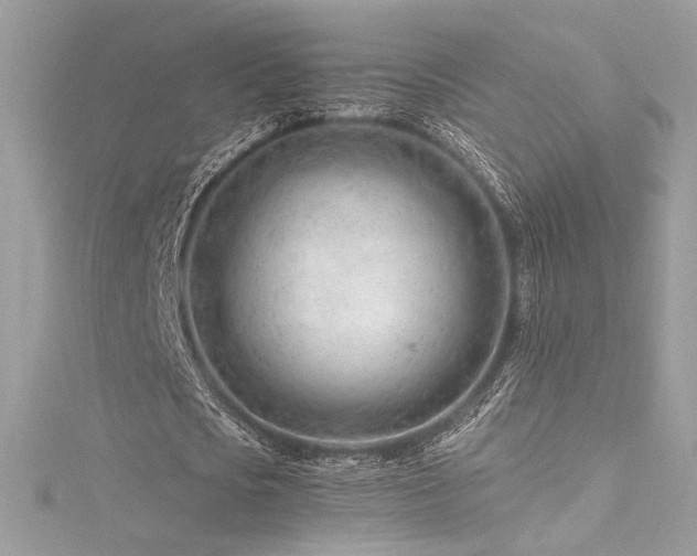 X0000116310721200911301502