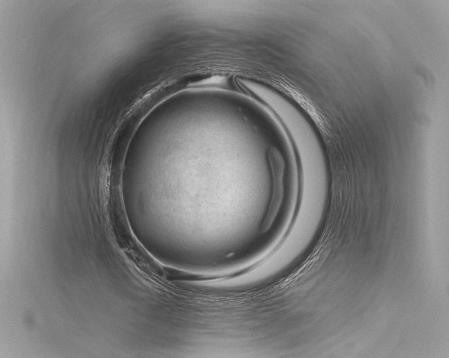 X0000116310722200911301502