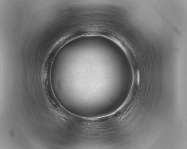 X0000116310723200911301502