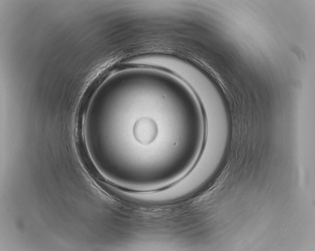 X0000116310725200911301502