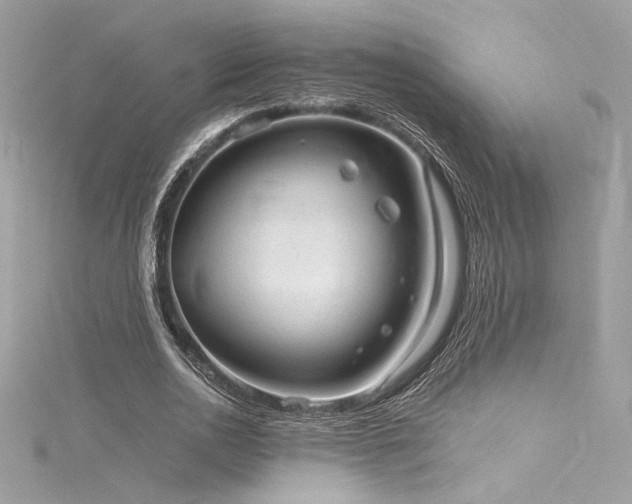 X0000116310726200911301502