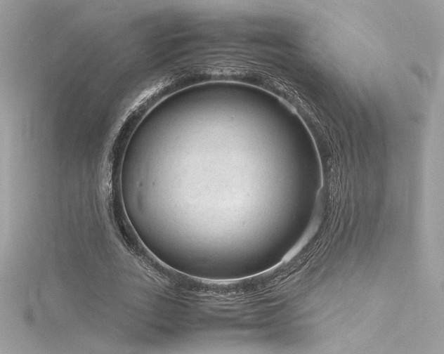 X0000116310727200911301502