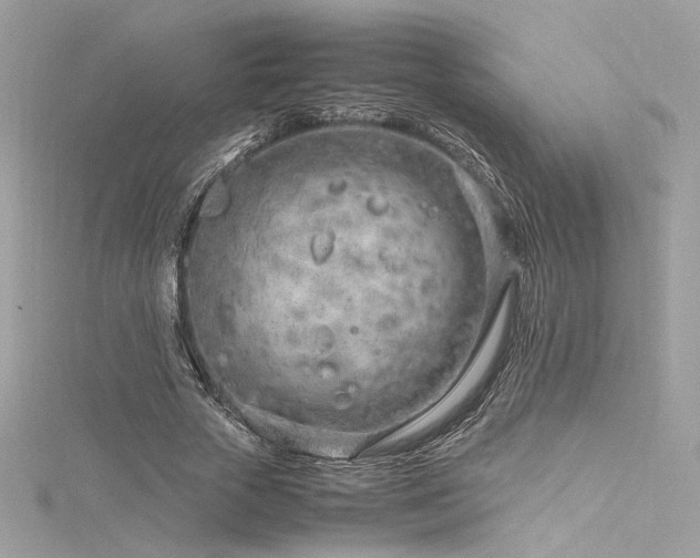 X0000116310729200911301502