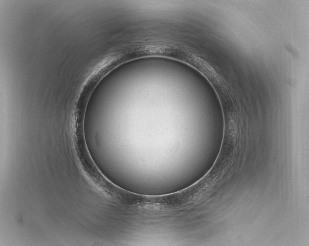 X0000116310730200911301502