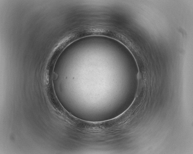 X0000116310731200911301502