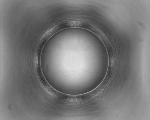 X0000116310733200911301502