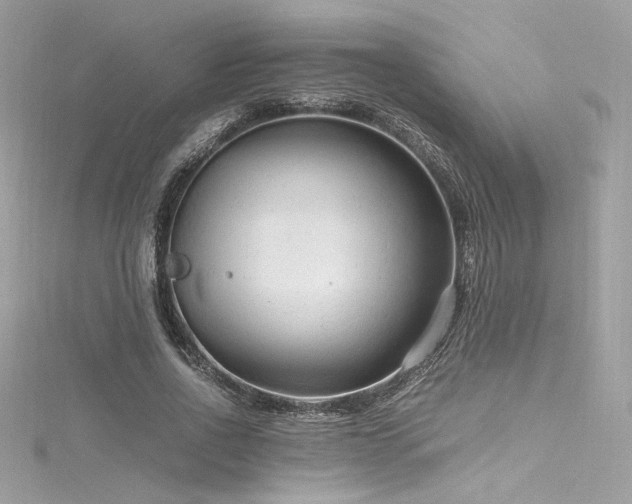 X0000116310734200911301502