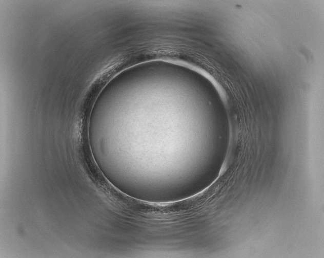 X0000116310735200911301502