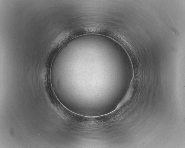 X0000116310738200911301502