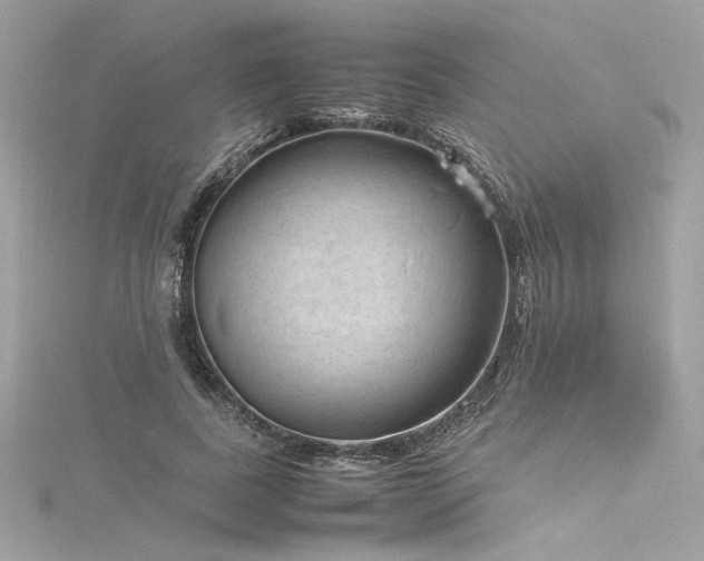 X0000116310739200911301502