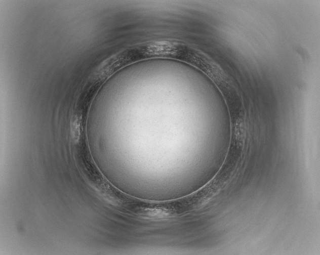 X0000116310741200911301502