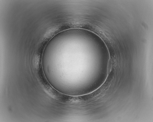 X0000116310742200911301502