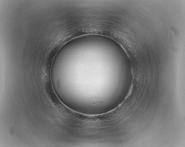 X0000116310743200911301502