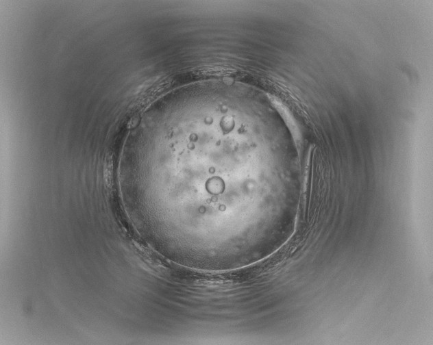 X0000116310745200911301502