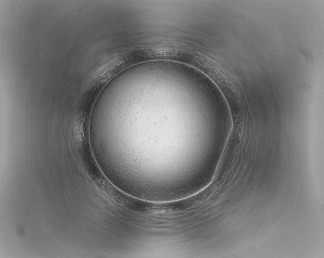 X0000116310746200911301502