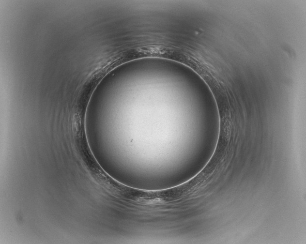 X0000116310747200911301502