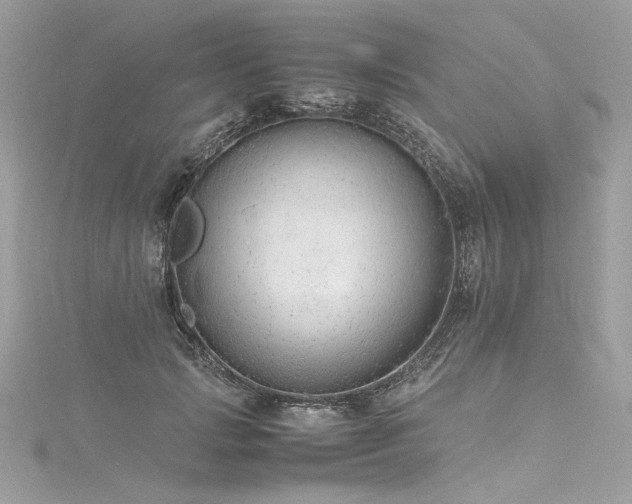 X0000116310749200911301502