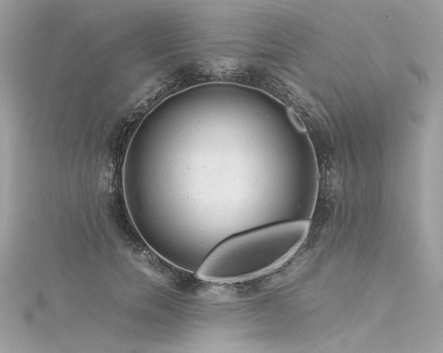 X0000116310750200911301502