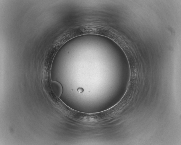 X0000116310751200911301502