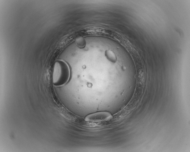 X0000116310753200911301502