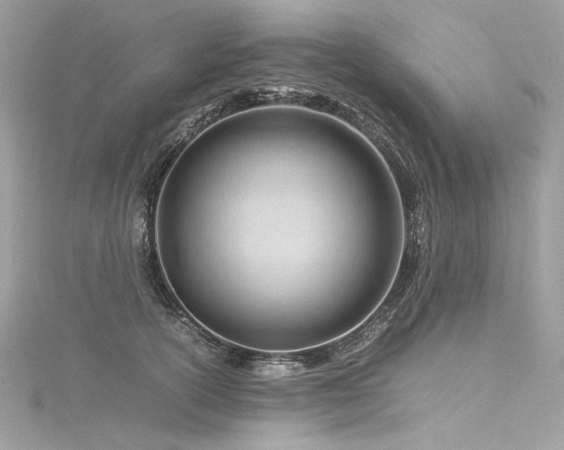 X0000116310754200911301502