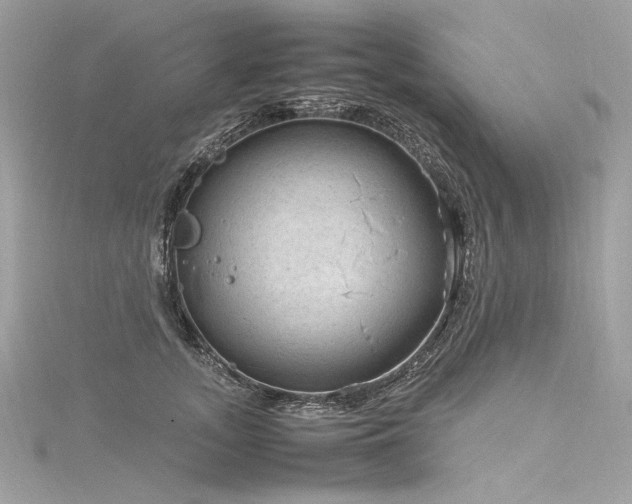 X0000116310755200911301502