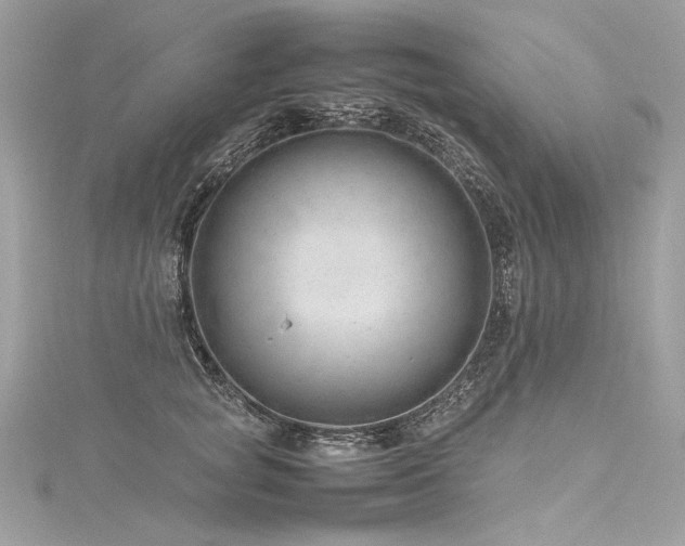 X0000116310757200911301502