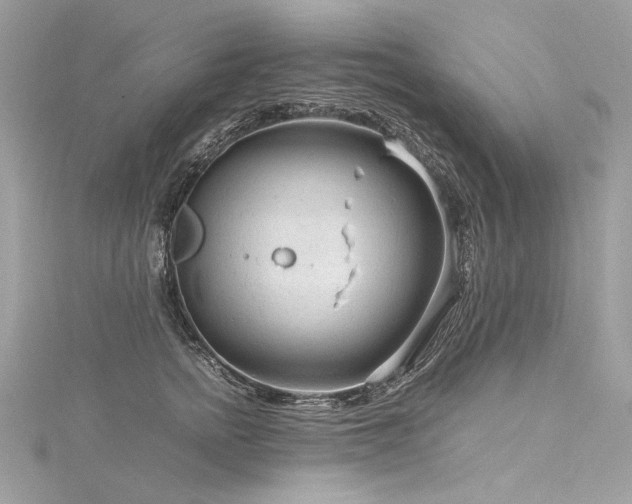 X0000116310758200911301502