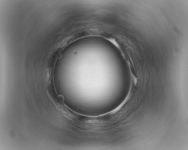 X0000116310759200911301502