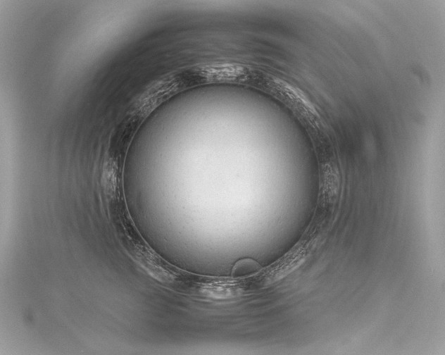 X0000116310761200911301503