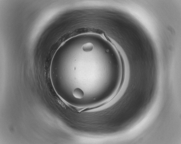 X0000116310766200911301503