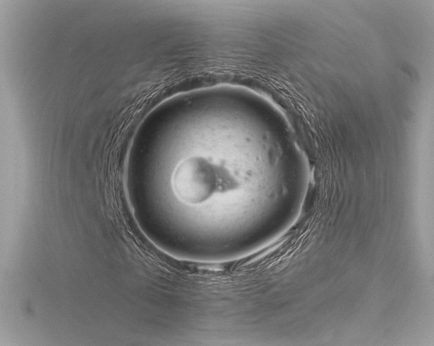 X0000116310769200911301502