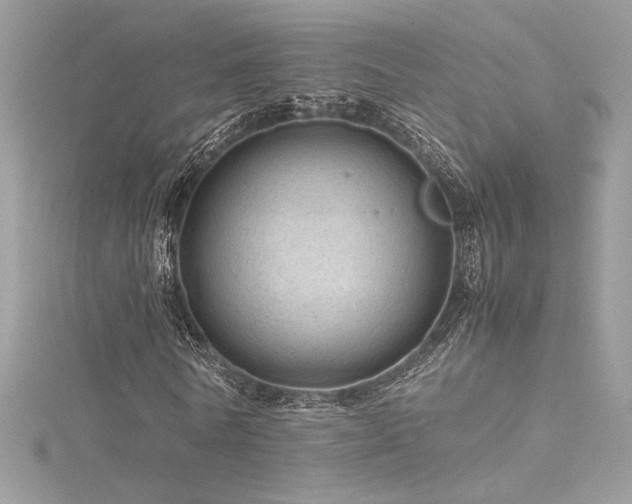 X0000116310770200911301502