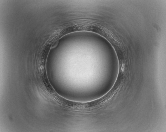 X0000116310771200911301502