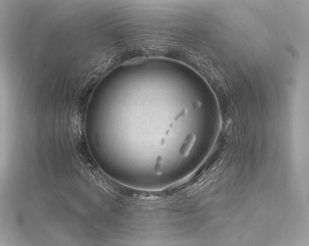 X0000116310772200911301502