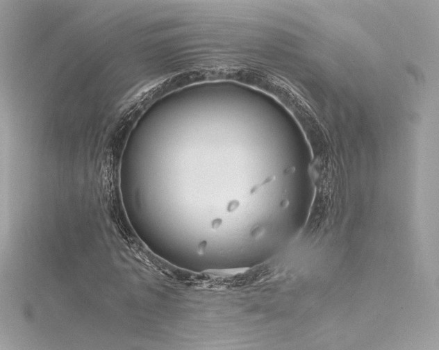 X0000116310773200911301502