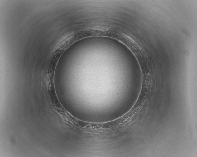 X0000116310774200911301502