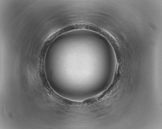 X0000116310775200911301502