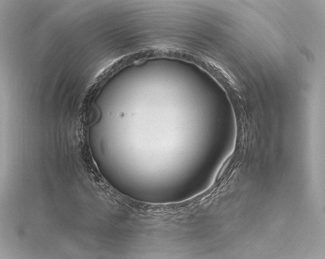 X0000116310776200911301502