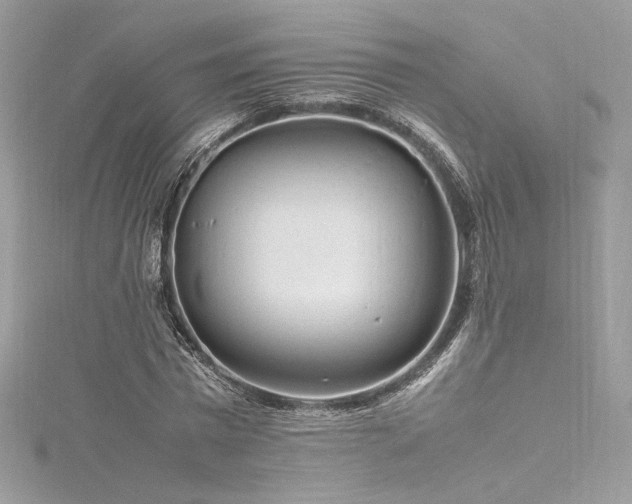 X0000116310777200911301502