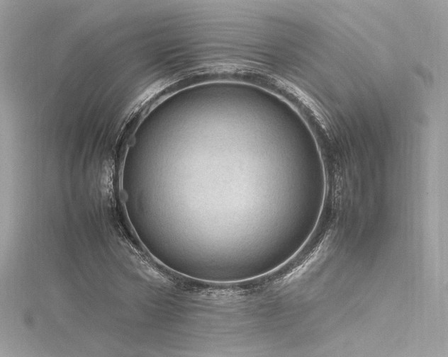 X0000116310778200911301502