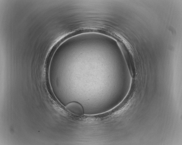 X0000116310779200911301502