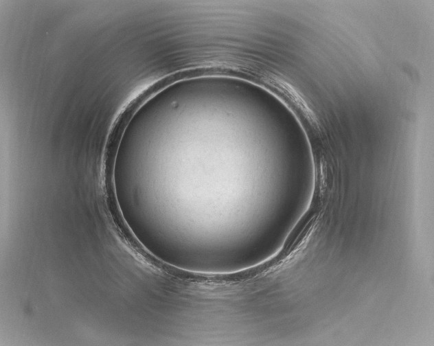 X0000116310780200911301502