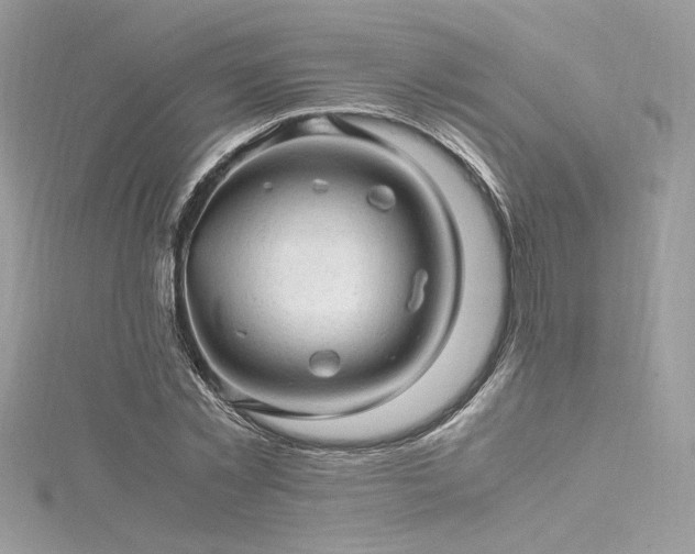 X0000116310781200911301502