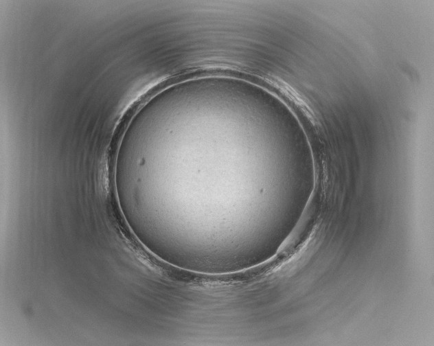 X0000116310782200911301502